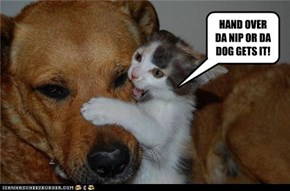 HAND OVER DA NIP OR DA DOG GETS IT!