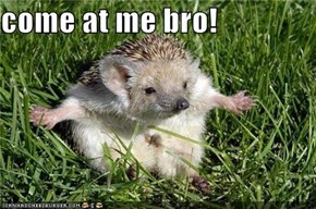 come at me bro!