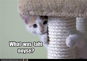 What  was  taht  noyse?