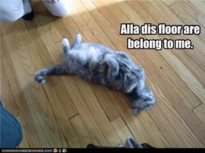 Alla dis floor