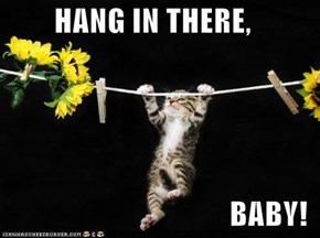 HANG IN THERE,  BABY!