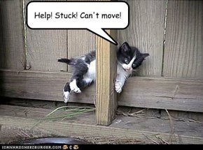 Help! Stuck! Can't move!