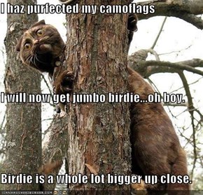 I haz purfected my camoflags I will now get jumbo birdie...oh boy. Birdie is a whole lot bigger up close.