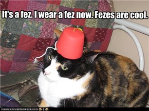 It's a fez. I wear a fez now. Fezes are cool.