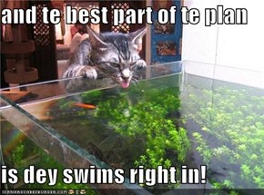 and te best part of te plan  is dey swims right in!
