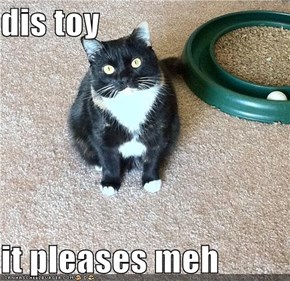 dis toy  it pleases meh