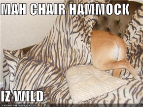 MAH CHAIR HAMMOCK  IZ WILD