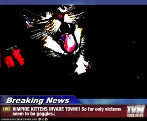 Breaking News - VIMPIRE KITTEHS INVADE TOWN!! So far only victems seem to be goggies.