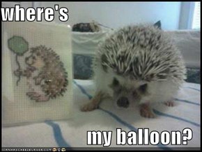 where's  my balloon?