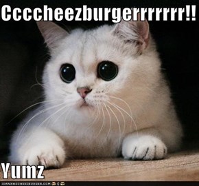 Ccccheezburgerrrrrrr!!  Yumz