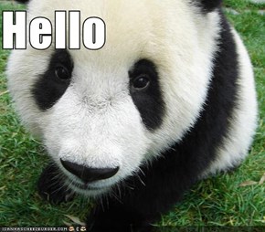 Hello