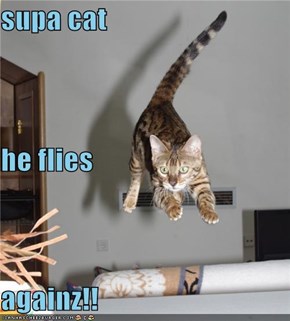 supa cat he flies againz!!