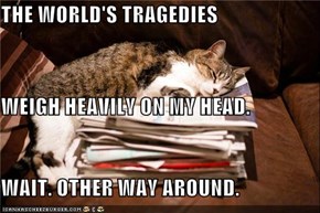 THE WORLD'S TRAGEDIES WEIGH HEAVILY ON MY HEAD. WAIT. OTHER WAY AROUND.