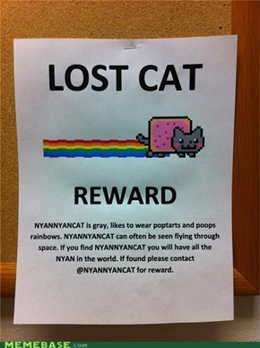 Reward: NYAN