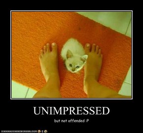 UNIMPRESSED