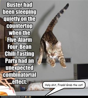 Buster had been sleeping quietly on the countertop when the  Five-Alarm Four-Bean Chili Tasting Party had an unexpected combinatorial effect.