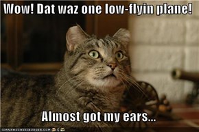 Wow! Dat waz one low-flyin plane!    Almost got my ears...