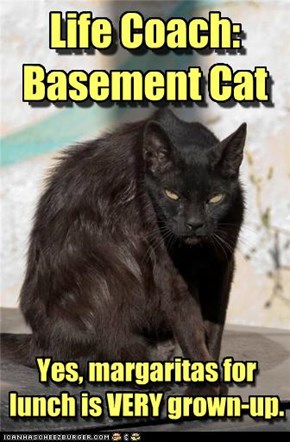 Life Coach: Basement Cat