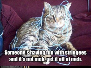 Someone's having fun with stringees and it's not meh. get it off of meh.
