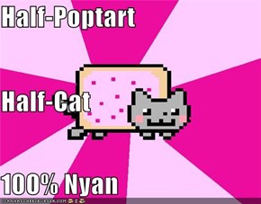 Half-Poptart Half-Cat 100% Nyan