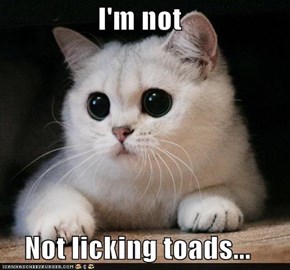 I'm not  Not licking toads...