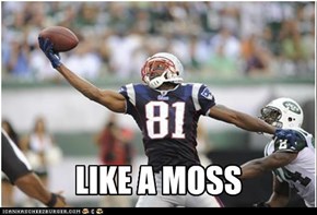 Catching Like A Moss