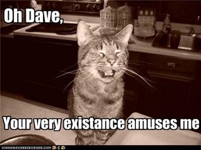 Oh Dave,