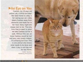 Goggies R Owr Friends: A Helping <strike>Hand</strike> Paw