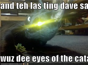 and teh las ting dave sawd  wuz dee eyes of the catalisk