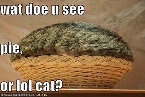 wat doe u see pie, or lol cat?