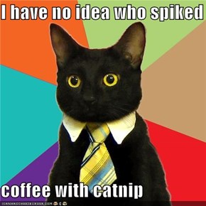 I have no idea who spiked the  coffee with catnip