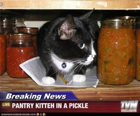 Breaking News - PANTRY KITTEH IN A PICKLE