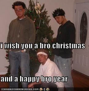 i wish you a bro christmas and a happy bro year