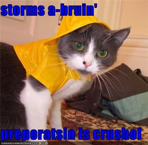 storms a-bruin'  preporatsin is crushol