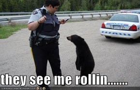 they see me rollin.......