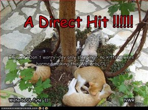 A Direct Hit !!!!!!