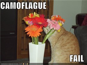 CAMOFLAGUE  FAIL