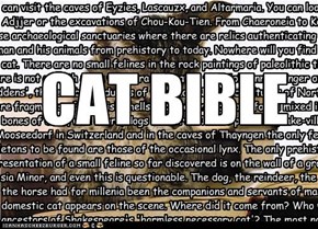 Cat Bible