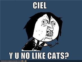 CIEL  Y U NO LIKE CATS?