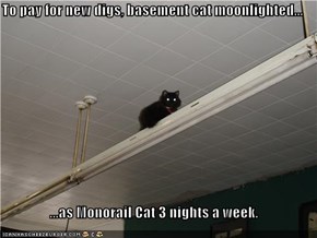 To pay for new digs, basement cat moonlighted...  ...as Monorail Cat 3 nights a week.