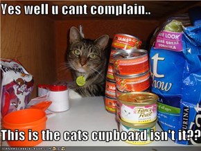 Yes well u cant complain..  This is the cats cupboard isn't it??