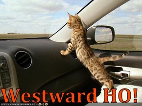 Westward HO!