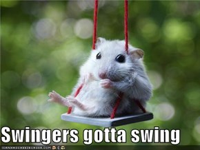 Swingers gotta swing