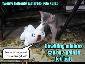 Twenty Elebenty Waterblol Fite Rulez