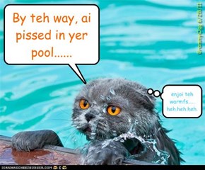 Kitteh + Water = Do *NAWT* want!!
