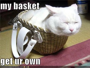 my basket   get ur own