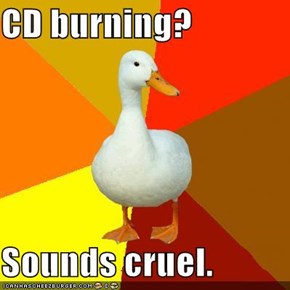 CD burning?  Sounds cruel.