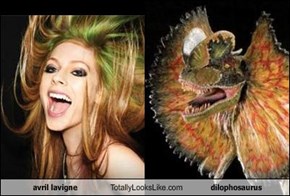 Avril Lavigne Totally Looks Like Dilophosaurus