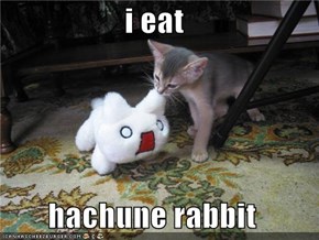 i eat  hachune rabbit
