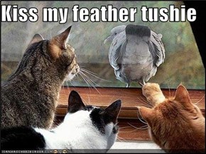 Kiss my feather tushie